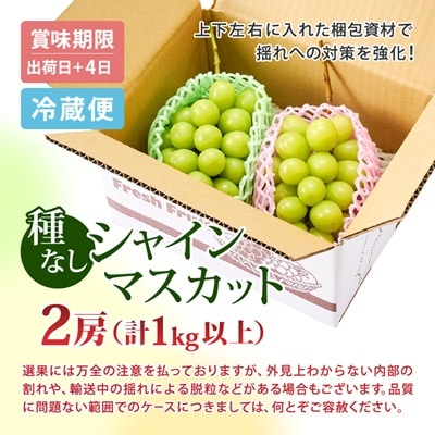 【2025年発送】長野県 中野市産 シャインマスカット2房(1.0kg以上)