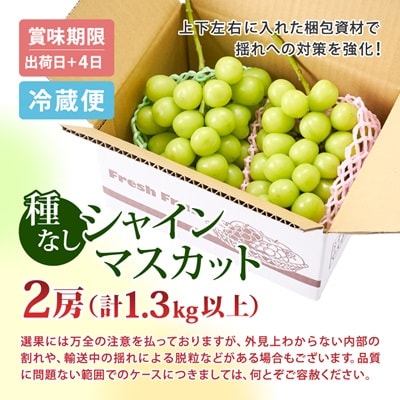 【2025年発送】長野県 中野市産 シャインマスカット2房(1.3kg以上)