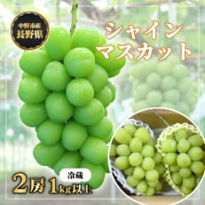 【冷蔵】　長野県　中野市産　シャインマスカット2房(1.0kg以上) | ふるさと納税のお礼品