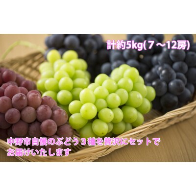 長野県中野市産　ぶどう3種 贅沢食べ比べ セット(7～12房 計約5kg)