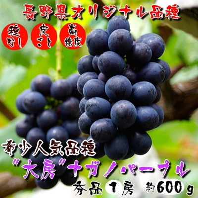 厳選!濃厚大房ナガノパープル　秀品　1房(約600g)
