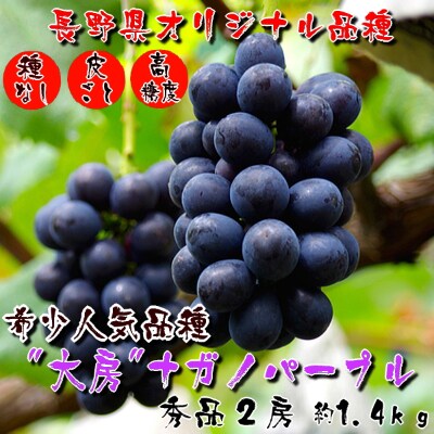 厳選!濃厚大房ナガノパープル 秀品 2房(約1.4kg)