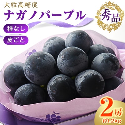 厳選!濃厚大房ナガノパープル　秀品　2房(約1.2kg)