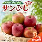 【訳あり】【先行受付】 りんご サンふじ 3kg 家庭用 長野県産