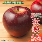 【先行受付】 りんご 秋映 4.8kg  長野県産