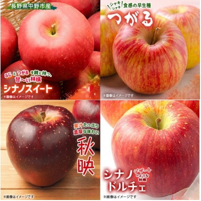 季節のおすすめリンゴ　1ケース約4.8kg