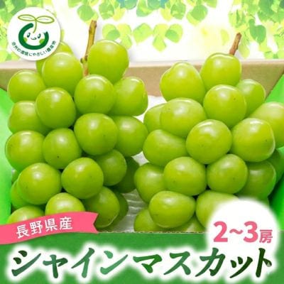 【発送月固定定期便】シャインマスカット (2～3房)　サンふじ林檎10kg全2回