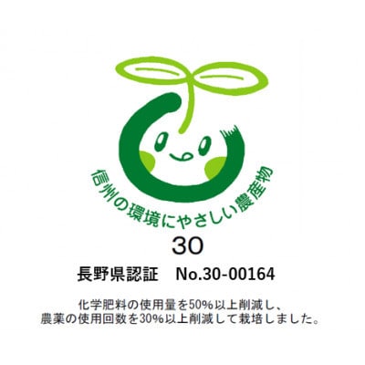 【発送月固定定期便】シャインマスカット (2～3房)　サンふじ林檎10kg全2回