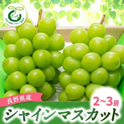 【発送月固定定期便】巨峰・シャインマスカット・美味しいサンふじ林檎全3回