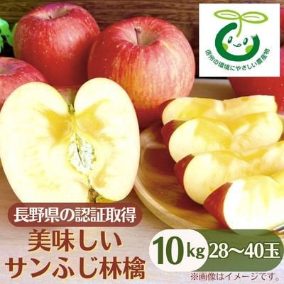 【発送月固定定期便】巨峰・シャインマスカット・美味しいサンふじ林檎全3回