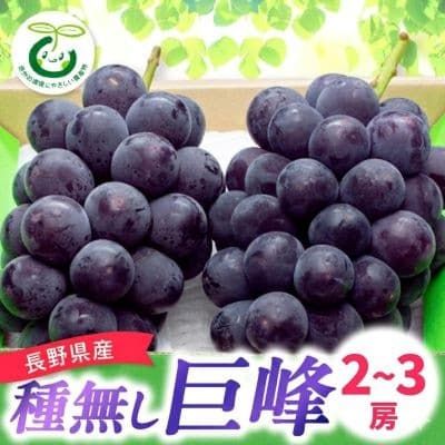 【発送月固定定期便】2026年発送[長野県産]信州種無し巨峰 2～3房+サンふじ林檎 10kg全2回