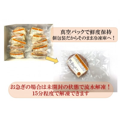 和牛入り生ハンバーグ　10個セット