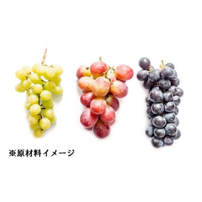 【長野県産】ジュエリーグレープ〔2パック〕〔高級ぶどう3種使用〕〔化学合成添加物・砂糖不使用〕
