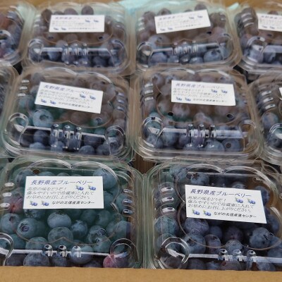 信州　中野市産ブルーベリー 100g×48パック入り