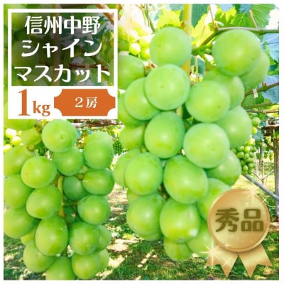 長野県中野市産ぶどう・シャインマスカット秀品 1kg箱 2房入り