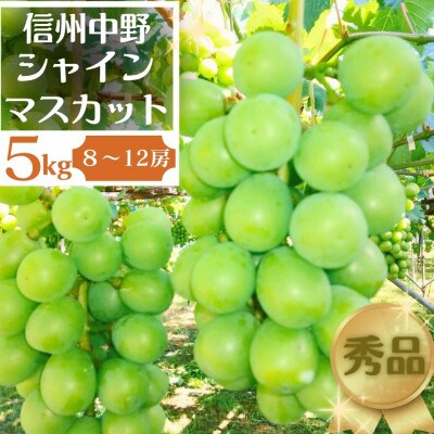 長野県中野市産ぶどう・シャインマスカット秀品 5kg箱 8～12房入り 