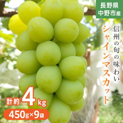 長野県中野市産ぶどう・シャインマスカット450g 9袋入り1箱
