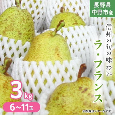 長野県中野市産　旬の洋梨ラ・フランス3kg6～11玉
