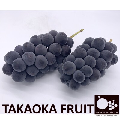 「産地より信州中野の旬をお届け」 種なし巨峰　PREMIUM　約1.2kg　化粧箱入り