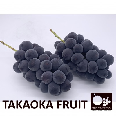 「産地より信州中野の旬をお届け」 種なし巨峰　PREMIUM　約1.2kg　化粧箱入り