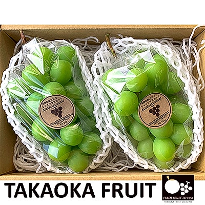 「産地より信州中野の旬をお届け」 シャインマスカット　贈答用　約1kg　