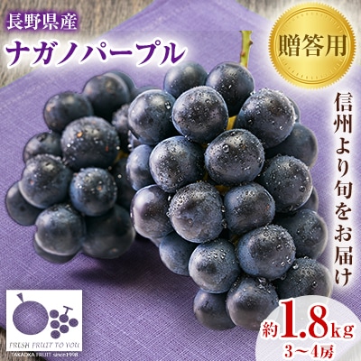 「産地より信州中野の旬をお届け」 ナガノパープル　贈答用　約1.8kg　