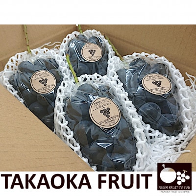 「産地より信州中野の旬をお届け」 ナガノパープル　贈答用　約1.8kg　