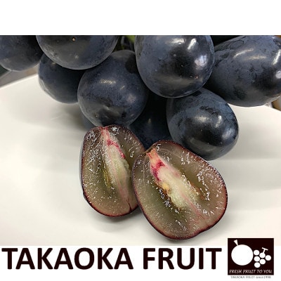 「産地より信州中野の旬をお届け」 ナガノパープル　贈答用　約1.8kg　