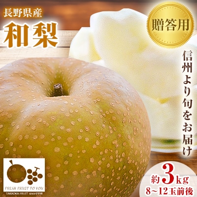 「産地より信州中野の旬をお届け♪」 高丘フルーツの長野県産「和梨」贈答用　約3Kg　8-12玉前後