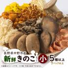 キノコでカラダを整える!新鮮きのこ詰め合わせ 小(5種類以上/7パック以上)