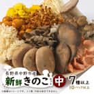 キノコでカラダを整える!新鮮きのこ詰め合わせ 中(7種類以上/10パック以上)