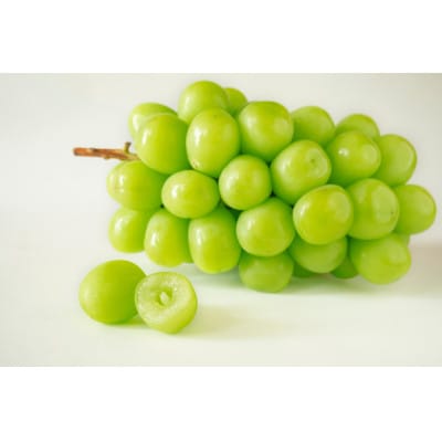 【厳選 旬のシャインマスカット1kg】フルーツ大国信州中野産