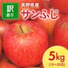長野県産 サンふじ りんご 家庭用 訳あり 5kg(12～20玉)