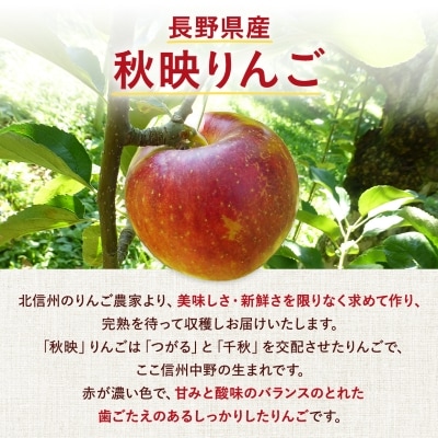 【10月中旬より順次発送】秋映りんご 家庭用 8kg