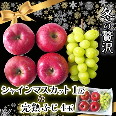 この冬お届け!贅沢 シャインマスカット1房 + 完熟ふじ(りんご)4玉入 長野県産 フルーツギフト