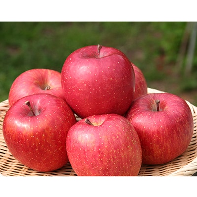 この冬お届け!贅沢 シャインマスカット1房 + 完熟ふじ(りんご)4玉入 長野県産 フルーツギフト