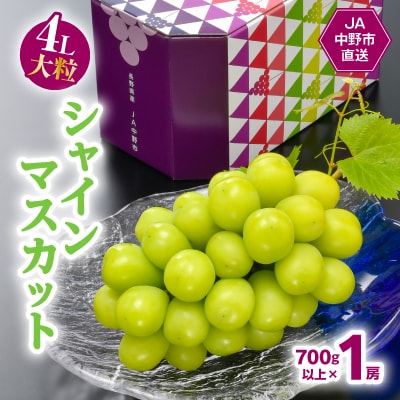 7月下旬～8月上旬発送　JA中野市ぶどう部会産地直送ハウス栽培4L大粒真夏のシャインマスカット