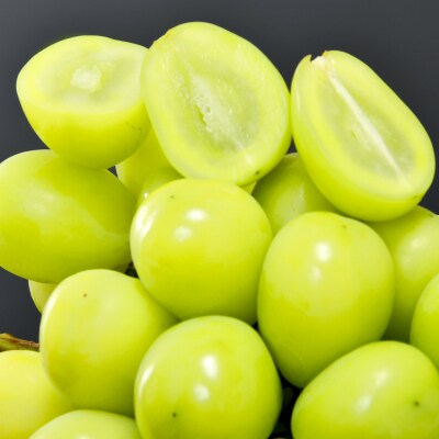 7月下旬～8月上旬発送　JA中野市ぶどう部会産地直送ハウス栽培4L大粒真夏のシャインマスカット