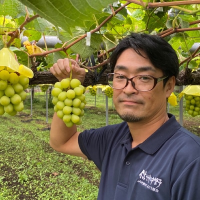 7月下旬～8月上旬発送　JA中野市ぶどう部会産地直送ハウス栽培4L大粒真夏のシャインマスカット