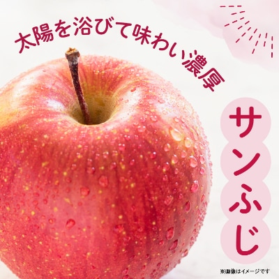 JA中野市の産直りんご「サンふじ」ご家庭用 10kg以上(28～36玉入)