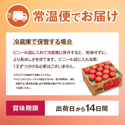 JA中野市の産直りんご「サンふじ」ご家庭用 10kg以上(28～36玉入)
