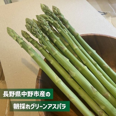 長野県中野市産 朝採れ グリーンアスパラガス M～Lサイズ 1000g