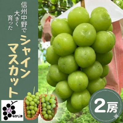 シャインマスカット　2房セット(約1.0kg)