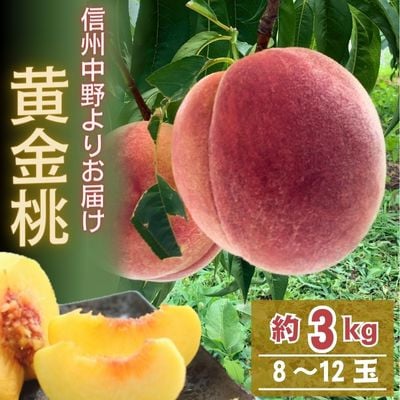 黄金桃 約3kg(8～12玉)