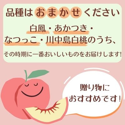 【旬にあわせたおいしい桃をお届け!】贈答用　桃  3kg(品種おまかせ 9～11玉)