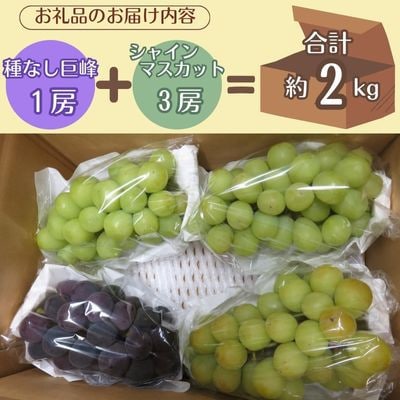 【信州中野から朝採りをお届け!】ぶどう人気2品種食べ比べセット(約2kg)
