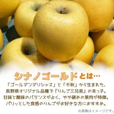 りんご シナノゴールド 約5kg