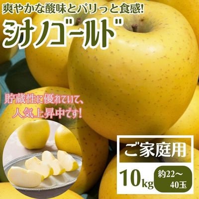 【先行受付】りんご シナノゴールド 家庭用 10kg