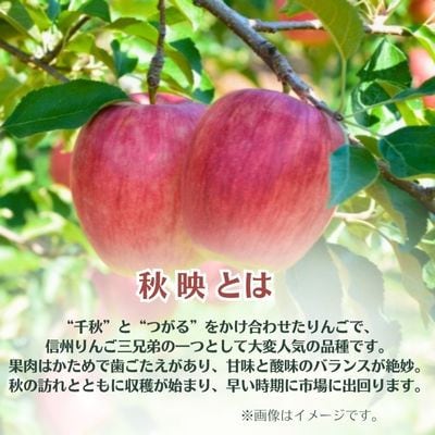 りんご 秋映 約3kg 家庭用(8玉～12玉)