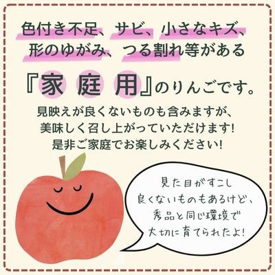 りんご 秋映 約3kg 家庭用(8玉～12玉)